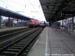 143 250 Als RE5 mit Ziel Neustrelitz Hbf / OLA VT 0004 mit Ziel ckermnde Stadthafen im Bahnhof Neubrandenburg am 3.2.13