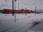 Einfahrt 143 250 als RE5 aus Neustrelitz Hbf in Richtung Stralsund Hbf