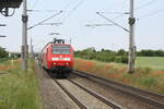 146 028 mit dem RE30 mit ziel Magdeburg Hbf bei der Einfahrt in Zberitz am 9.6.21  