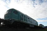 232 002 und 228 203 abgestellt im Saalehafen in Halle-Trotha am 16.11.20