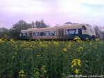 PRESS 650 032-4 bei Pastitz (OT Putbus) am 9.5.13