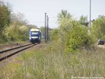 HEX VT 876 mit ziel Halle (Saale) Hbf in Bebitz am 5.5.16