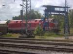 MEG 301 abgestellt im Bahnhof Stralsund Hbf am 12.6.14