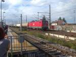 MEG 604 beim vorbeifahren am Bahnhof Halle-Messe am 9.10.14