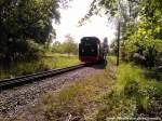 RBB 99 1784 unterwegs nach Ghren bei der Durchfahrt in Poseald am 24.5.13