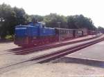 RBB 251 901 beim Rangieren im Bahnhof Putbus am 27.7.13