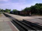 RBB 251 901 beim Rangieren Im Bahnhof Putbus Am 27.7.13