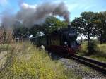 RBB 99 4011 unterwegs nach Putbus kurz vorm Hp.