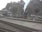 99 4511 mit dem Sonderzug GmP beim rangieren im Bahnhof Putbus am 11.10.14