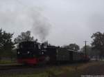 99 4511 mit dem Sonderzug GmP beim Fotohalt in Posewald am 12.10.14