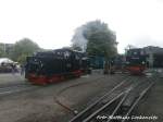 RBB 99 4652 und 99 4011 im kleinbahn-BW Putbus am 31.5.15