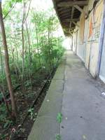 Das ehemalige G�terschuppengleis in Friedrichroda am 27.Juli.2013