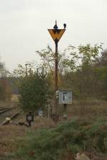 Ra 11 in Pretzsch.