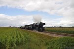 52 3879 und 50 307 fahren mit dem G�terzug nach Loenen