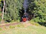 99 6101 auf der Strecke kurz vor M�gdesprung bei einer Scheinanfahrt 31.