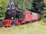 99 6101 auf der Strecke nach Silberh�tte  kurz vor M�gdesprung bei einer Scheinanfahrt 31.