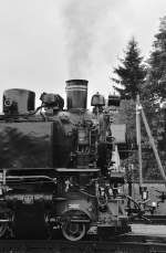 Blick auf die Front der 99 1785-7 in Cranzahl am 26.10.2015