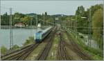 Hat bald sein Ziel erreicht: ein Alex aus M�nchen erreicht mir der 223 067 Lindau HBF.