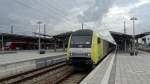 Eine ER20 steht mit einem ALEX nach Lindau und Oberstdorf in München-Pasing an Gleis 4.