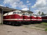 Am 24.05.14 war in Weimar beim TEV 118er Treffen.