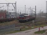 231 012 kam,am 10.November 2014,nochmals nach Bergen/Rügen.