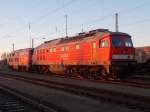 Buchstäblich im letzten Sonnenlicht fotografierte ich die,am 16.Februar 2016,nach Mukran gekommene 232 534 zusammen mit der 225 021.
