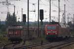 143  931 - 4 bei der Ausfahrt aus Coswig  mit einer RB nach DD Hbf.