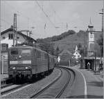 Die sch�ne 151 031-2 in Bad Bellingen.