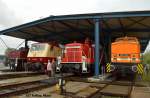 E 60 10, 120 004-7, 306 303-2 und V60 1100 waren am 13.06.2015 im Au�enbereich des DB Museum Koblenz beim Sommerfest abgestellt.