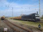 MRCE 185 572 mit einem Holzzug abgestellt im Bahnhof Bergen auf R�gen am 24.4.14