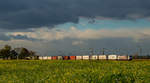 185 666 mit dem EKOL bei Weiterstadt