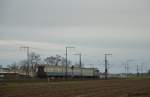141 228-7 mit dem Sonderzug zum Weihnachtsmarkt der Nationen nach R�desheim des Eisenbahnmuseum Darmstadt-Kranichstein am 13.12.2015 zwischen Weiterstadt und Klein-Gerau.