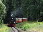 99 7245-6 musste am 13.08.2014 mit P 8904 am Einfahrsignal von Drei-Annen-Hohne halten.