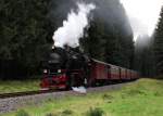 99 7245-6 donnert mit P 8929 durch den Harzwald bei Elend am 13.08.2014