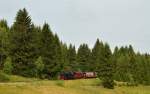 Mit hallender Pfeife und sattem Sound donnert 99 7235-7 mit N 8929 durch den Wald zwischen Elend und Sorge am 12.08.2015