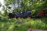 02.06.2017: Dampfzug in Richtung Hasselfelde fährt entlang des Scheunencafes Drahtzug.