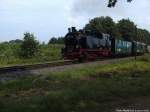 R�BB 99 4011-5 unterwegs nach Lauterbach Mole / Hier zwischen Beuchow & Putbus am 6.8.13 