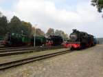 6 Grazien in Putbus.