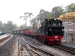 99 608 ist mit ihrem Sonderzug gerade in G�hren angekommen.Am 13.Okt.2013