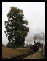 99 608 bei der Scheinanfahrt in der ber�hmten Birkenkurve vor Seelvitz am 13.Okt.2013