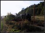 99 1784-0 kurz hinter Seelvitz mit P 109 am 14.Okt.2013