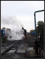 99 1781-6 dampfte sich am 12.Okt.2013 in Putbus ein.