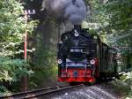 99 1781-6 fährt mit P 106 durch die Wälder bei Göhren am 29.07.2014.Fotograf war mein Vater Stefan Marx.