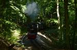 99 1782-4 donnert die Steigung hinter Garftitz mit P 228 am 03.08.2015 zum Jagdschlo� hoch.
