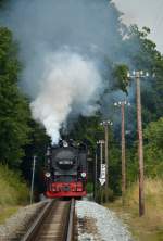 99 1781-6 ballert mit P 106 die Steigung nach Seelvitz am 08.08.2015 hoch