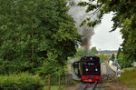 99 1784-0 bei der Ausfahrt mit P 223 aus Binz am 18.07.2016.