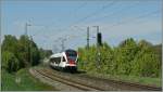Ein  Seehas  Flirt auf dem Weg nach Konstanz kurz nach Engen..