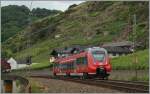 Ein  Mini-Hamster , der 442 503, als RB1 auf dem Weg nach Koblenz in der Nähe von Winningen.