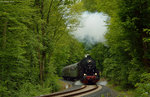 52 4867 (HEF) im Wald vor Schneidhain am 15.05.2016