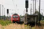 185 079 - 1  abgeb�gelt  vor einem leeren Autozug in Coswig   24.08.2013    15:14 Uhr.